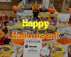 ハッピーハロウィン！！